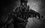 Black Panther Movie Wallpaper 061